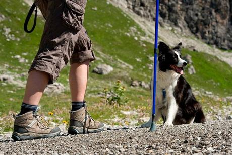 excursiones con perros a la montaña