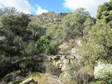 SIERRA DE ALMENARA (II), GUADARRAMA SIERRA DE ALMENARA (II), GUADARRAMA