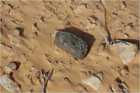 Meteoritos Meteoritos