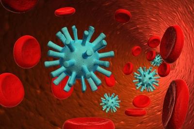 La Toxemia, desequilibrio metabólico. Elimina las toxinas de tu cuerpo y adelgaza! toxemia