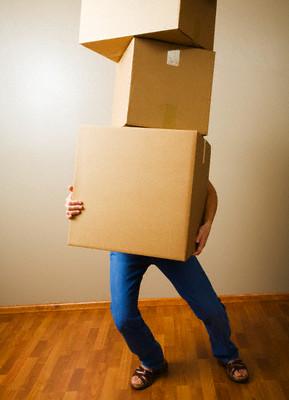 La Toxemia, desequilibrio metabólico. Elimina las toxinas de tu cuerpo y adelgaza! toxemia2