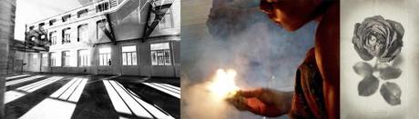 1ª edición Photo of the Year: los GANADORES Los 3 finalistas