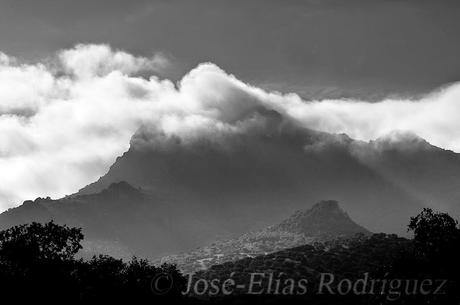 Nubes