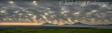 Nubes