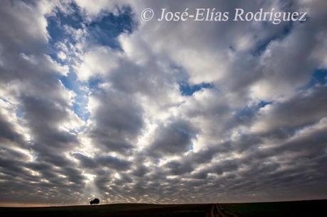 Nubes