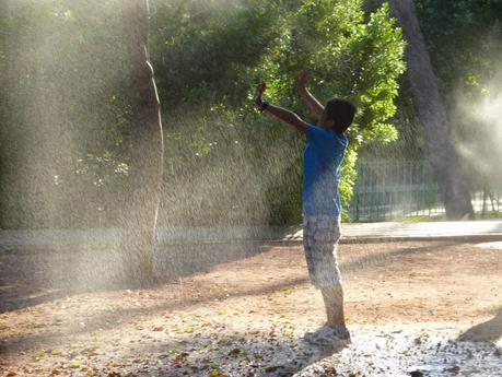 Primer Día de Viaje: Mezquita de Córdoba y Zoológico Primer Día de Viaje: Mezquita de Córdoba y Zoológico