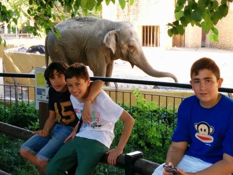 Primer Día de Viaje: Mezquita de Córdoba y Zoológico Primer Día de Viaje: Mezquita de Córdoba y Zoológico