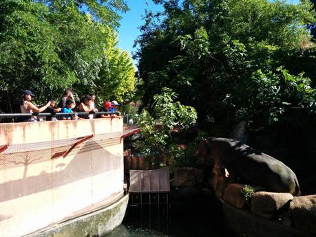 Primer Día de Viaje: Mezquita de Córdoba y Zoológico Primer Día de Viaje: Mezquita de Córdoba y Zoológico