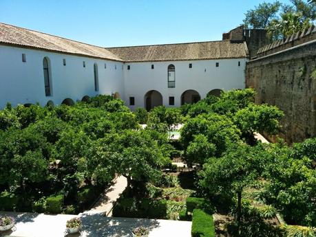 Primer Día de Viaje: Mezquita de Córdoba y Zoológico Primer Día de Viaje: Mezquita de Córdoba y Zoológico