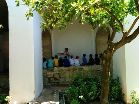 Primer Día de Viaje: Mezquita de Córdoba y Zoológico Primer Día de Viaje: Mezquita de Córdoba y Zoológico