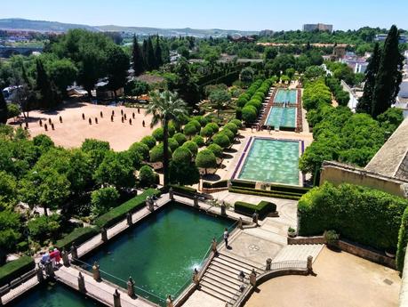 Primer Día de Viaje: Mezquita de Córdoba y Zoológico Primer Día de Viaje: Mezquita de Córdoba y Zoológico