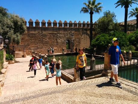Primer Día de Viaje: Mezquita de Córdoba y Zoológico Primer Día de Viaje: Mezquita de Córdoba y Zoológico