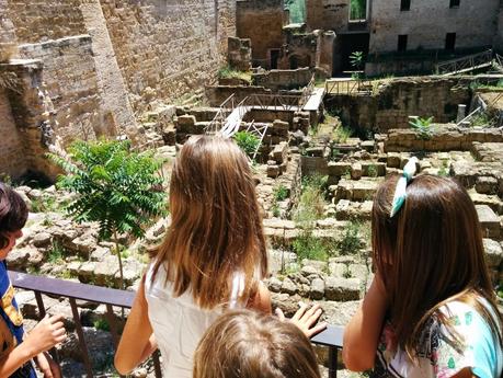 Primer Día de Viaje: Mezquita de Córdoba y Zoológico Primer Día de Viaje: Mezquita de Córdoba y Zoológico