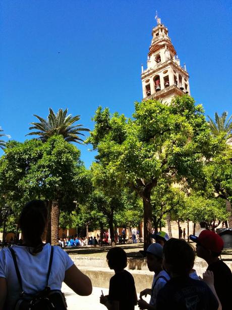 Primer Día de Viaje: Mezquita de Córdoba y Zoológico Primer Día de Viaje: Mezquita de Córdoba y Zoológico