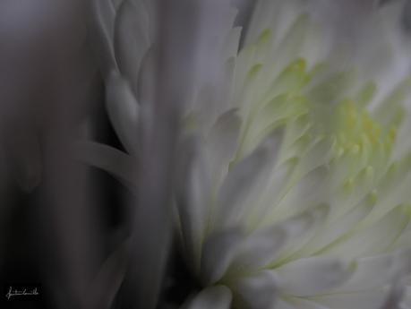 Ventanas a la magia Ventanas a la magia