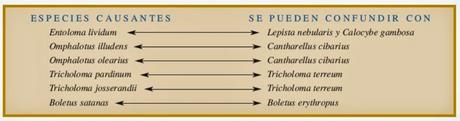 Elige bien a tu comensal... hoy con un síndrome de más de 300 setas Elige bien a tu comensal... hoy con un síndrome de más de 300 setas