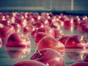 ¿Qué parte de ti rechazas? Coaching Sistémico coaching_sistemico