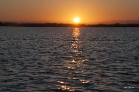 Reflejos del sol en la Albufera de Valencia