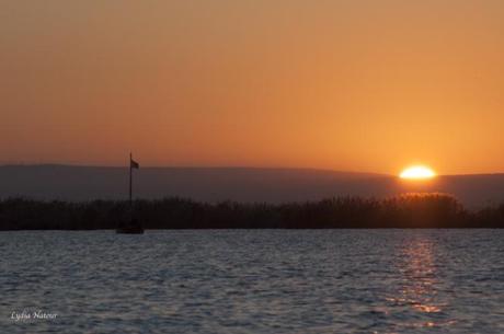 Atardecer en la boya en la Albufera de Valencia