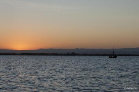 Despedida del sol en la Albufera de Valencia