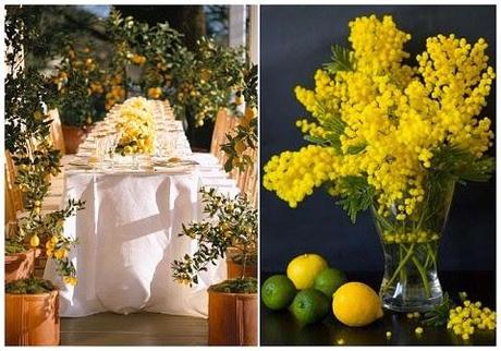 Mimosas para bodas