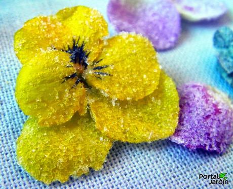 Del florero al plato: Las flores también se comen