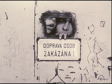 Sedmikrásky - 1966 Sedmikrásky - 1966