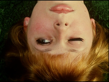 Sedmikrásky - 1966 Sedmikrásky - 1966