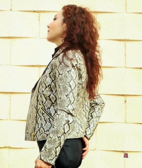 Colorblock y Perfecto de Serpiente-Colorblock and Snake Print Jacket Colorblock y Perfecto de Serpiente-Colorblock and Snake Print Jacket