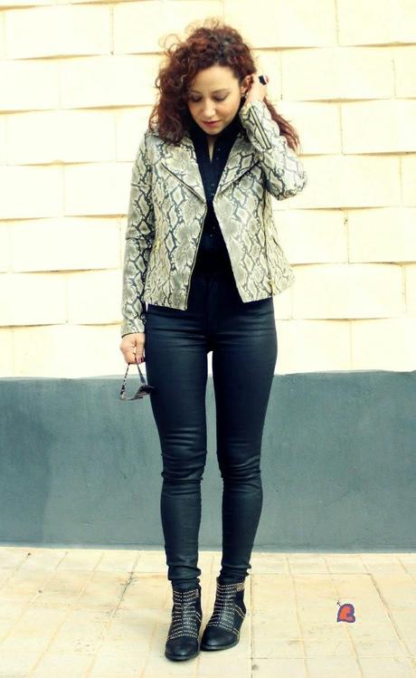 Colorblock y Perfecto de Serpiente-Colorblock and Snake Print Jacket Colorblock y Perfecto de Serpiente-Colorblock and Snake Print Jacket