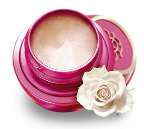 tender_rose.jpg tender_rose.jpg