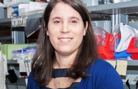 Bioquímica Uruguaya descubrió cómo frenar el cáncer Magdalena Paolino descubrió un modo de frenar metástasis provocadas por tumores perros olfatean cancer