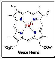Amores que matan: La hemoglobina y el monóxido de carbono Grupo hemo.