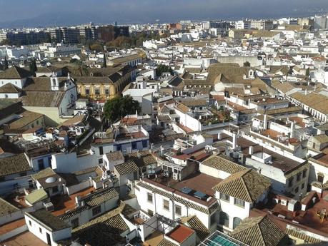 Desde la torre de la Mezquita Desde la torre de la Mezquita