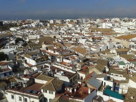 Desde la torre de la Mezquita Desde la torre de la Mezquita
