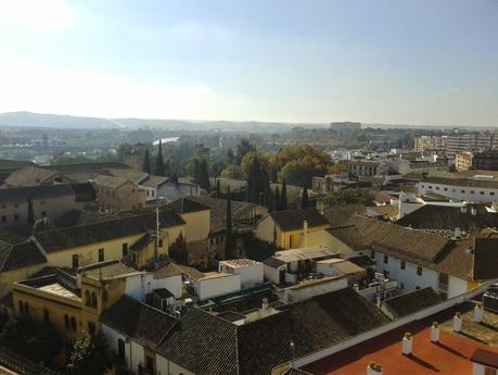 Desde la torre de la Mezquita Desde la torre de la Mezquita