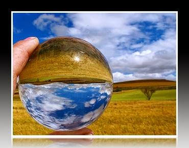 Bienvenido/a Bienvenido/a