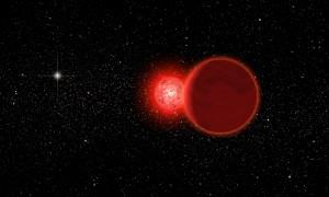 Estrella de Scholz y su compañera - WISE J072003.20-084651.2