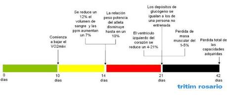 ¿Cuánto perdemos al dejar de entrenar? Imagen propiedad de tritim rosario