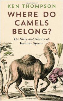 Reseña: Where do camels belong?