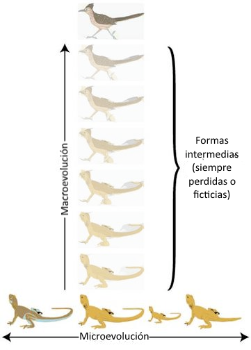 Neodarwinismo, o la relación entre evolución y genética