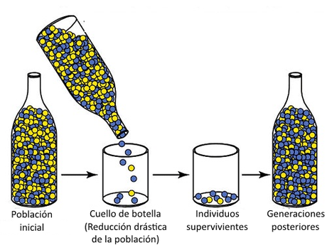 Neodarwinismo, o la relación entre evolución y genética