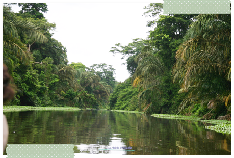 Canal Tortuguero