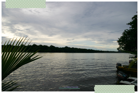 Tortuguero