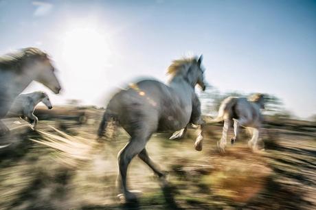 Scott Stulberg, la belleza de la vida hecha imagen Scott Stulberg, la belleza de la vida hecha imagen