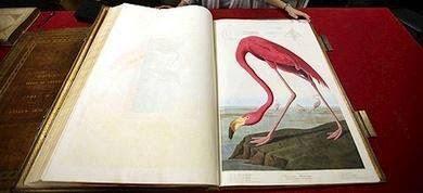 ABRIRÉ LA VENTANA... ABRIRÉ LA VENTANA...