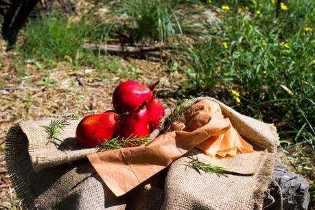 VACACIONES EN EL CAMPO: POLENTA Y TOMATES ASADOS AL DISCO Y TARTA INVERTIDA DE PERAS **2DA PARTE**