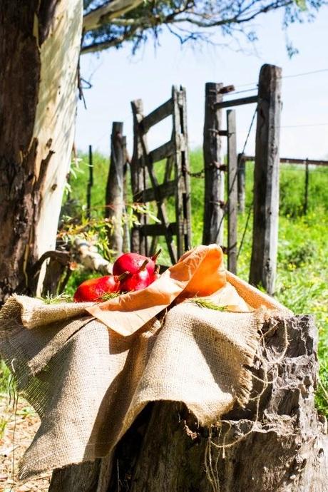 VACACIONES EN EL CAMPO: POLENTA Y TOMATES ASADOS AL DISCO Y TARTA INVERTIDA DE PERAS **2DA PARTE**