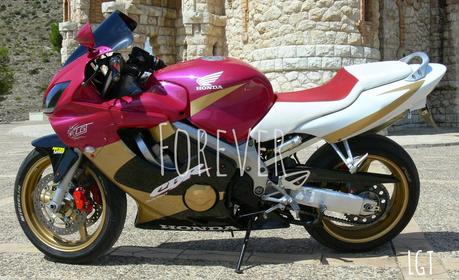 HUCHA MASCULINA HUCHA MASCULINA