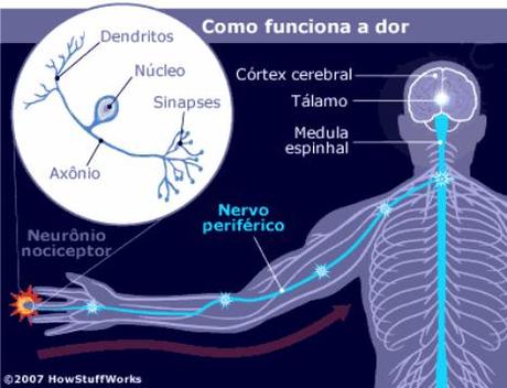 El dolor| aspectos psicologicos